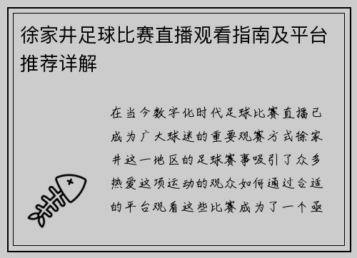 徐家井足球比赛直播观看指南及平台推荐详解